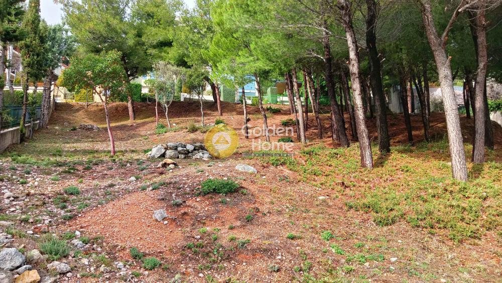 Land in Thrakomakedones, Attica, Greece 1 - 15369649