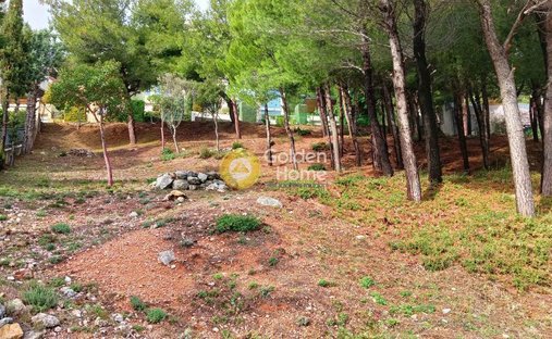 Land in Thrakomakedones, Attica, Greece 1