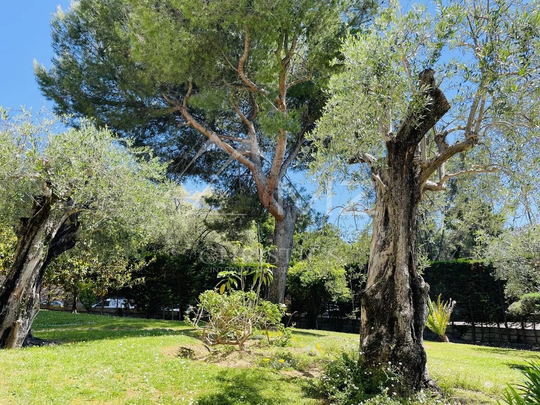 Apartment in Camp Long, Cannes, France 4 - 15369467