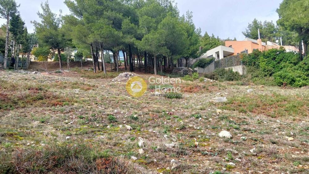Land in Thrakomakedones, Attica, Greece 2 - 15369649