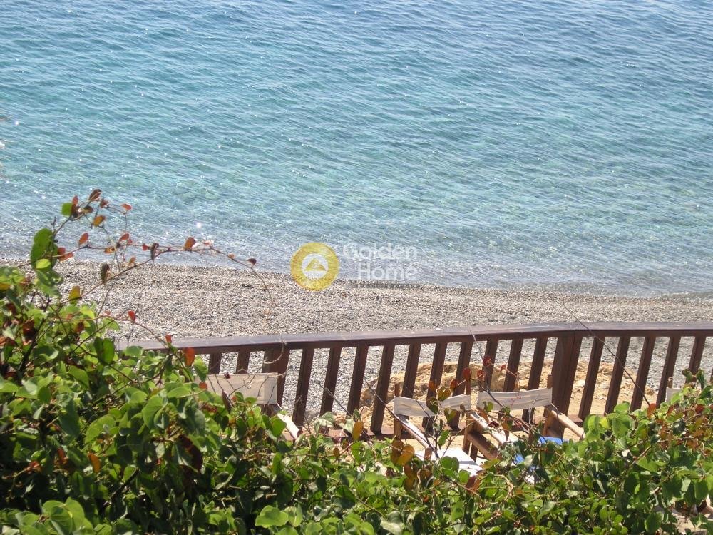 Land in Skopelos, Thessaly and Central Greece, Greece 3 - 15369637