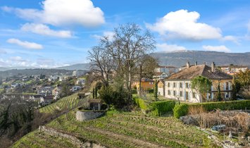 House in Orbe, Vaud, Switzerland 1