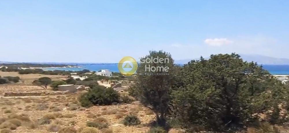 Land in Naxos, Aegean, Greece 1 - 15369675