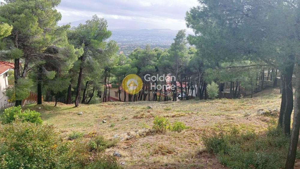 Land in Thrakomakedones, Attica, Greece 4 - 15369649