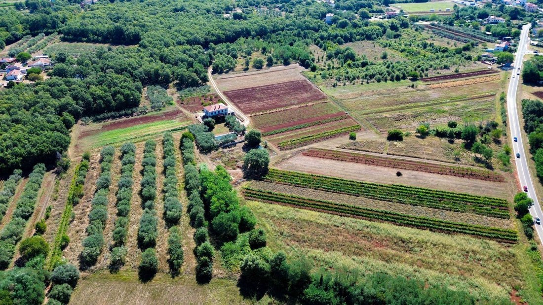 Villa in Umag, Istria County, Croatia 1 - 14683763