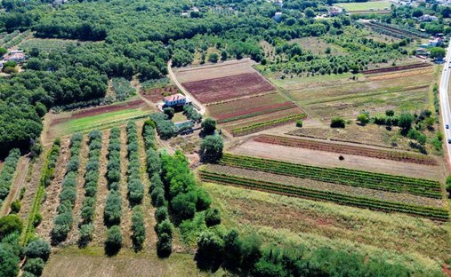 Villa in Umag, Istria County, Croatia 1