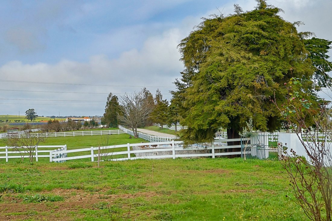 Farm Ranch in Evora (Sao Mamede, Se, Sao Pedro e Santo Antao), Évora District, Portugal 1 - 15366608