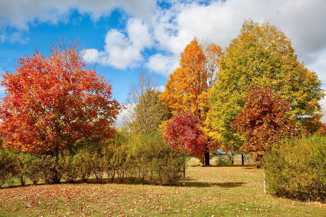 House in Ghent, New York, United States 4 - 15368103