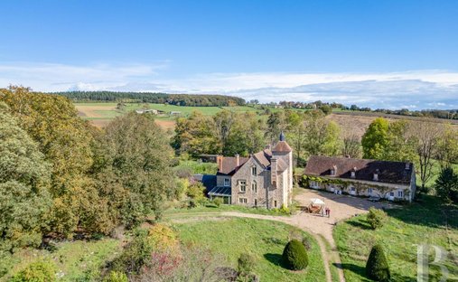Castle for Sale in Nevers, Bourgogne-Franche-Comté, France