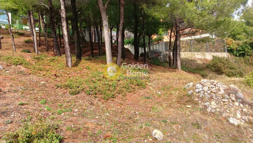 Land in Thrakomakedones, Attica, Greece 5 - 15369649