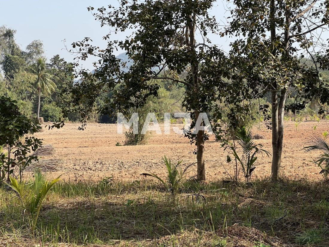 Terreno en Bang Sare, Provincia de Chon Buri, Tailandia 5 - 15365443