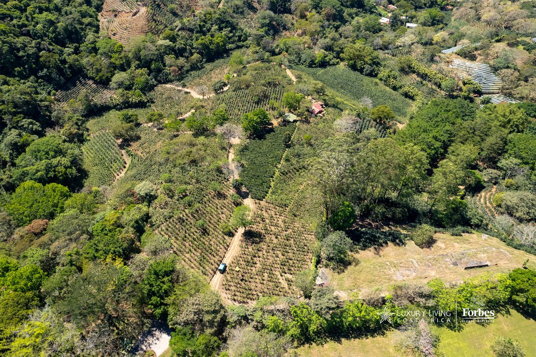 Land in San Pedro de Poás, Guanacaste Province, Costa Rica 1 - 15367094