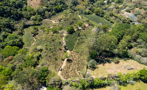 Land in San Pedro de Poás, Guanacaste Province, Costa Rica 1
