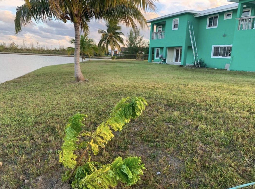 House in Grand Bahama, The Bahamas 5 - 15366456