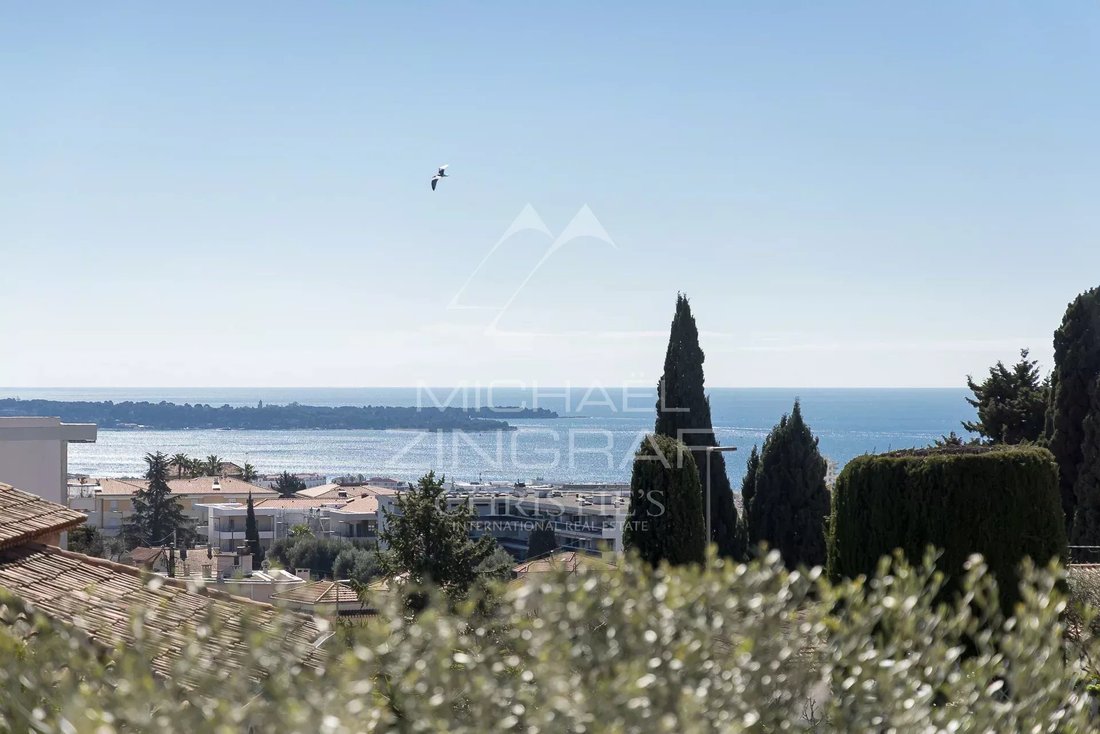House in Europe, Le Cannet, France 2 - 10651620