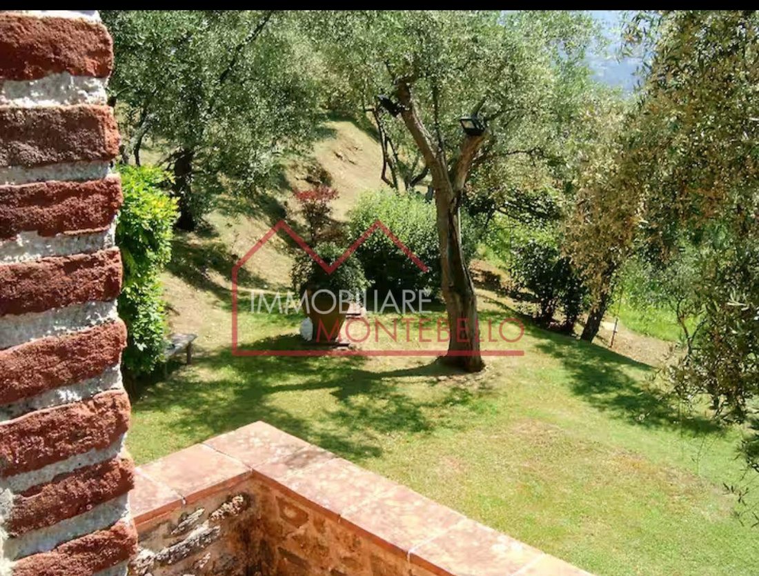 Camaiore, Tuscany, Italy 5 - 15372175