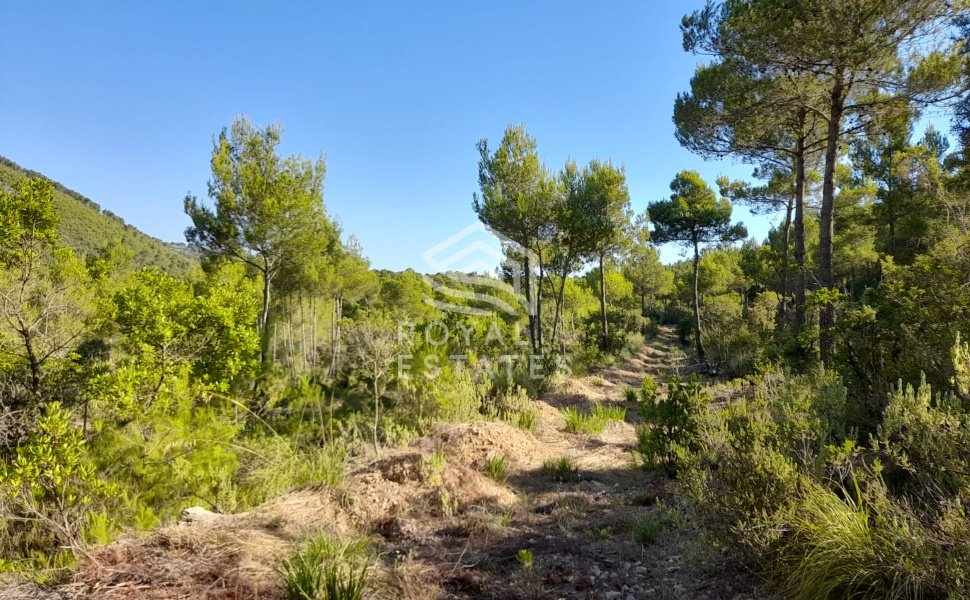 Villa in Sant Carles de Peralta, Santa Eularia des Riu, Balearic Islands 3 - 15370724