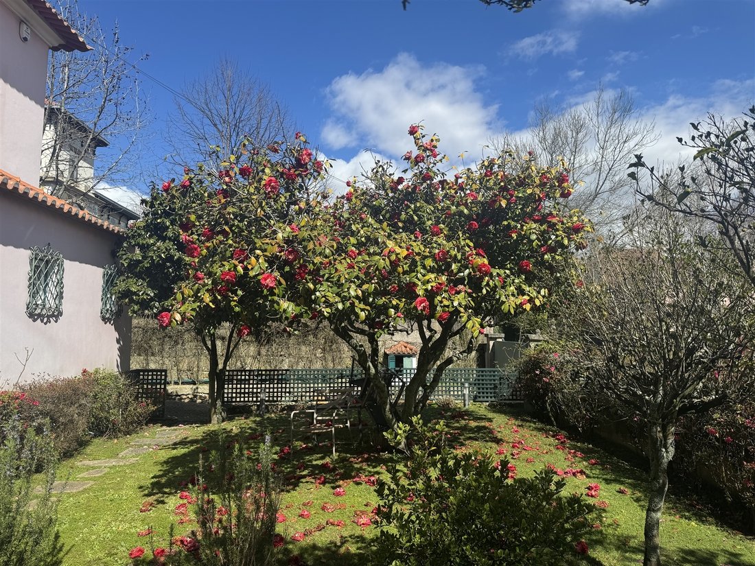 House in Lordelo do Ouro e Massarelos, Porto District, Portugal 2 - 15372371