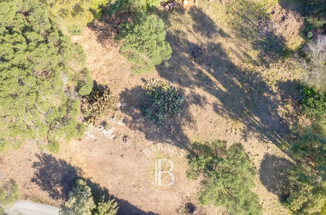 Land in Sainte-Maxime, Provence-Alpes-Côte d'Azur, France 4 - 15372269