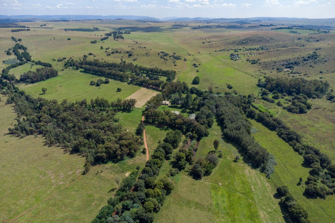 Farm Ranch in Mogale City Local Municipality, Gauteng, South Africa 1 - 15371964