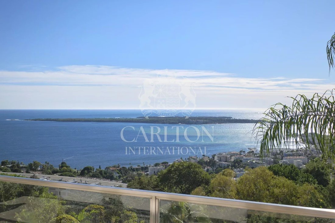 Villa in Cannes, Provence-Alpes-Côte d'Azur, France 4 - 15371060