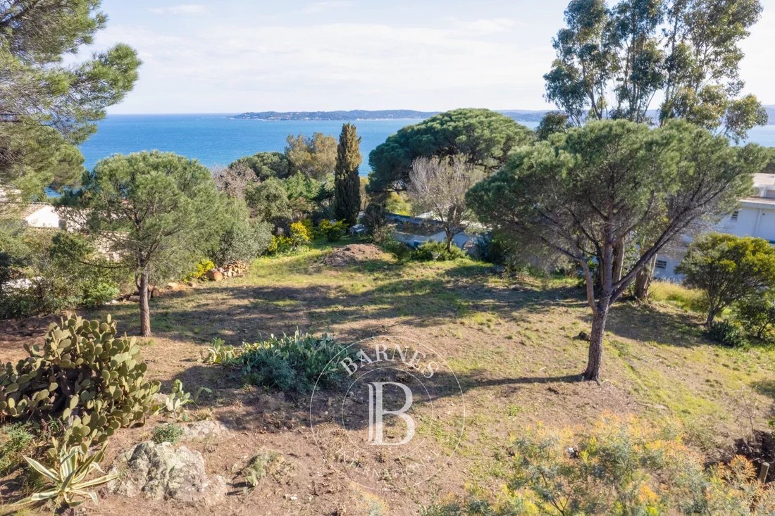 Land in Sainte-Maxime, Provence-Alpes-Côte d'Azur, France 1 - 15372269