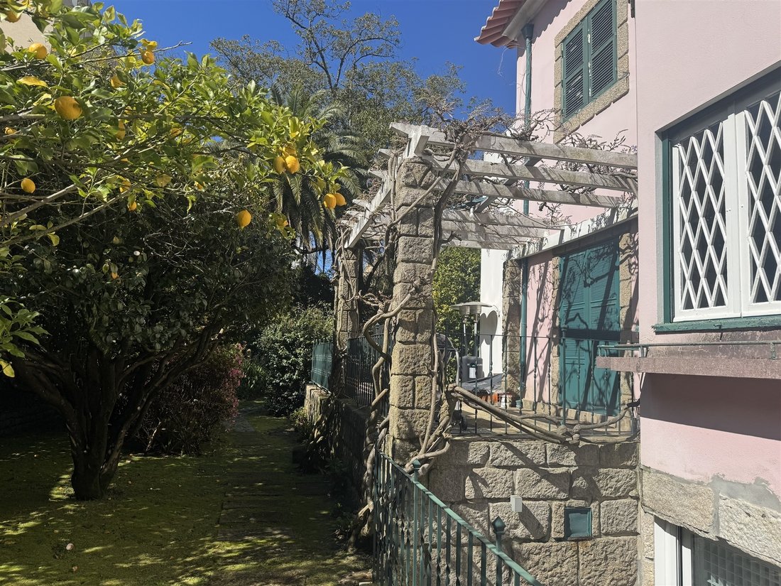 House in Lordelo do Ouro e Massarelos, Porto District, Portugal 3 - 15372371