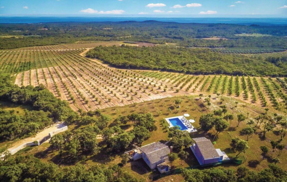 Villa in Rovinj, Istria County, Croatia 3 - 13882458