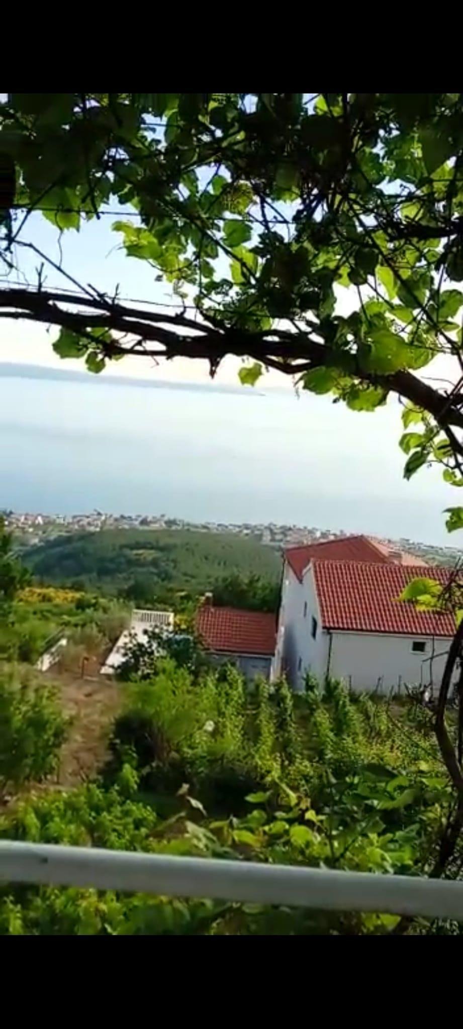 Villa in Grljevac, Split-Dalmatia County, Croatia 5 - 14556042