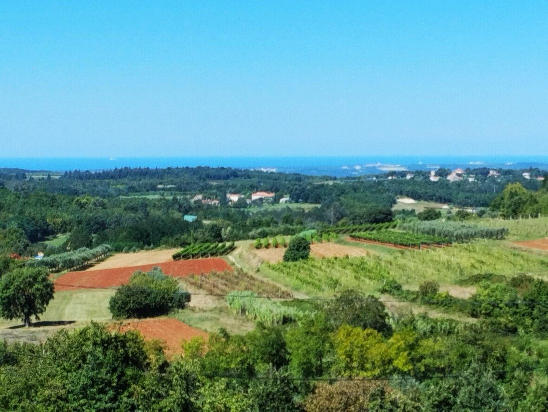Villa in Vizinada, Istria County, Croatia 4 - 14578949