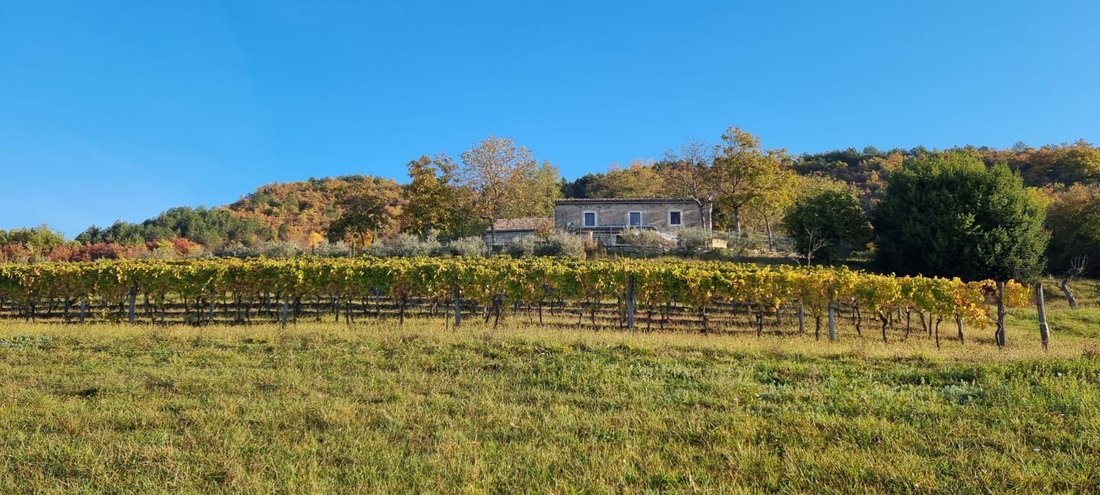 Villa in Opcina Cerovlje, Istria County, Croatia 4 - 15133951