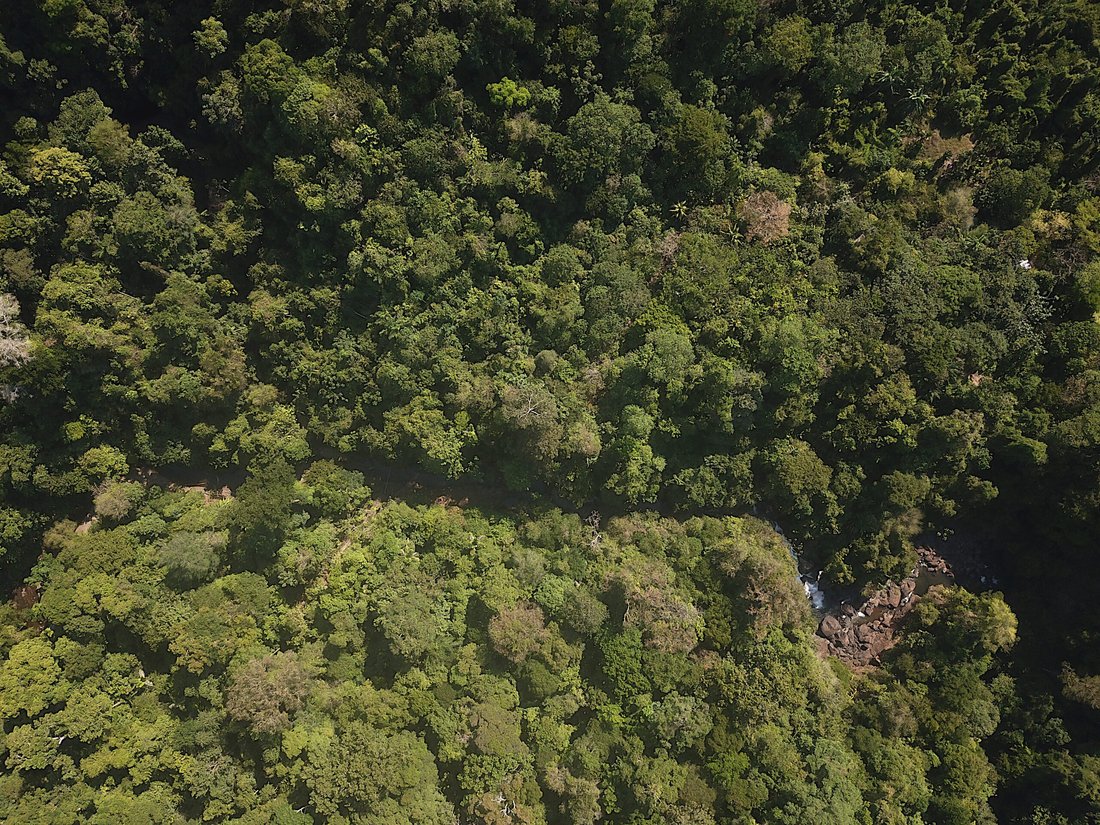 Land in Drake Bay, Costa Rica 3 - 15375839