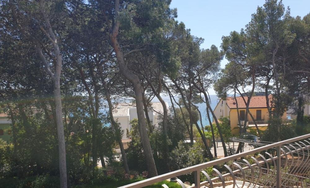 Rovinj, Istria County, Croatia 1 - 14705584