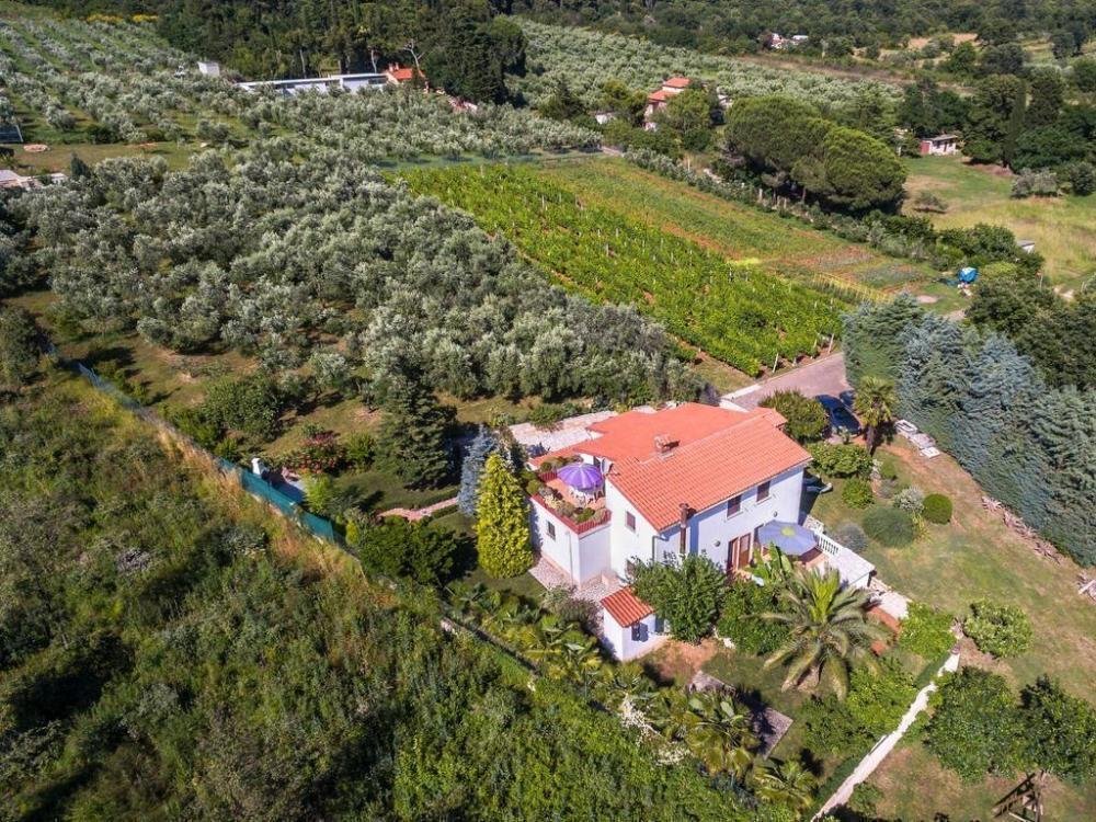 Villa in Medulin, Istria County, Croatia 1 - 12937087
