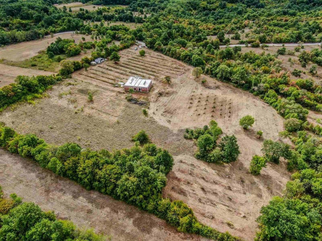 Villa in Barban, Istria County, Croatia 1 - 14841290