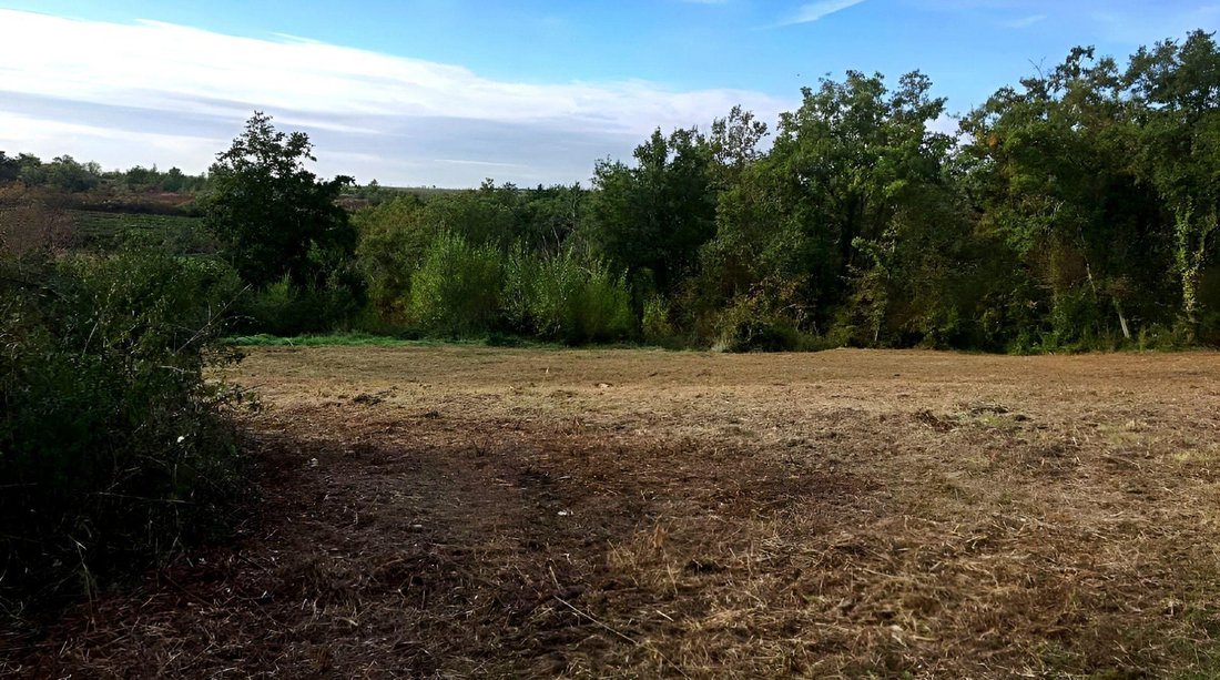 Villa in Buje, Istria County, Croatia 5 - 14539142