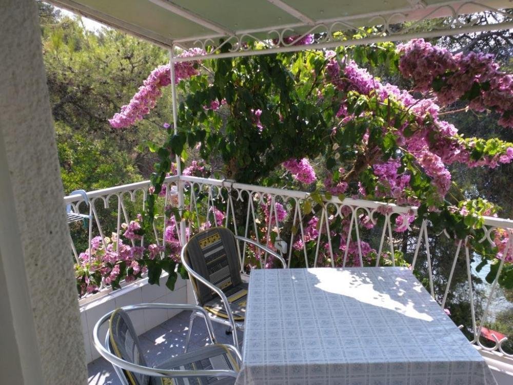 Split-Dalmatia County, Croatia 5 - 11326513