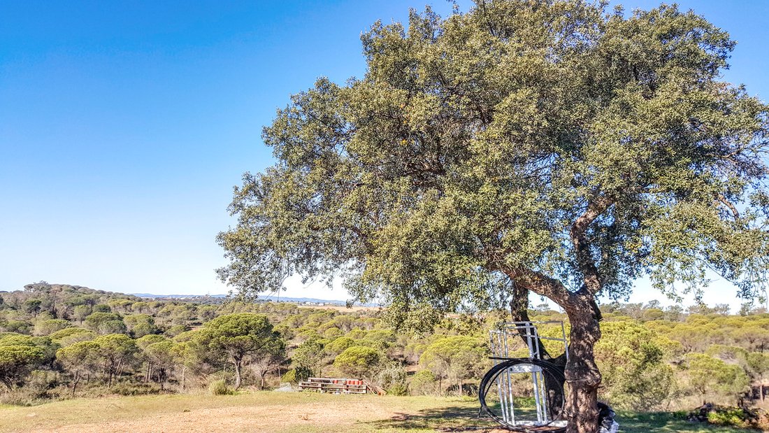 Finca in Ayamonte, Andalusia, Spain 3 - 15378658