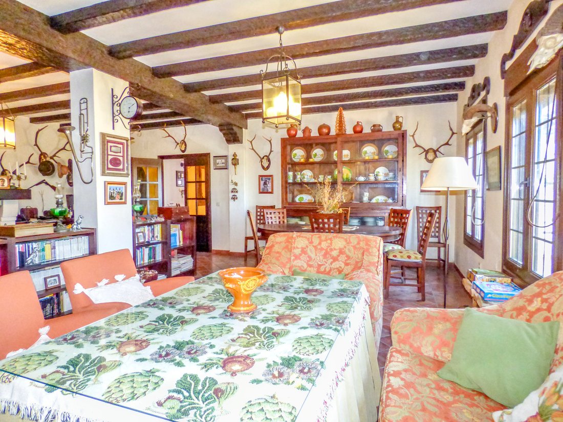 Finca in San Silvestre de Guzman, Andalusia, Spain 4 - 15378760