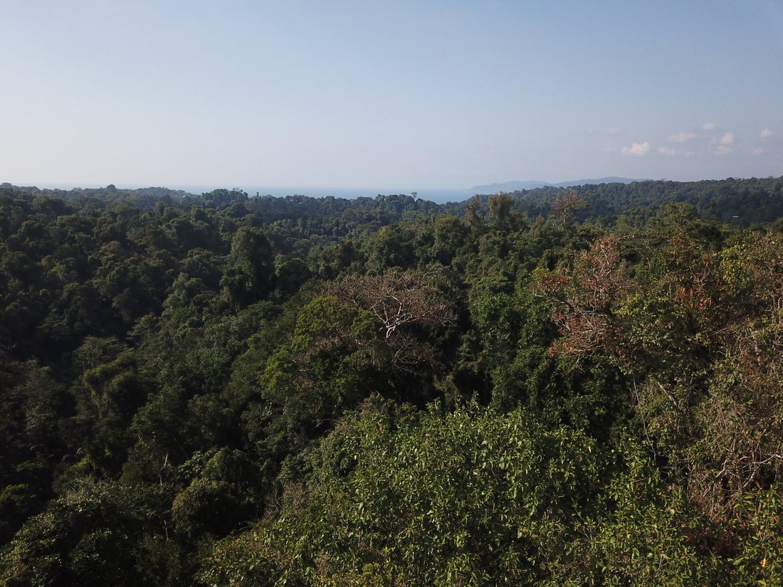 Land in Drake Bay, Costa Rica 5 - 15375839