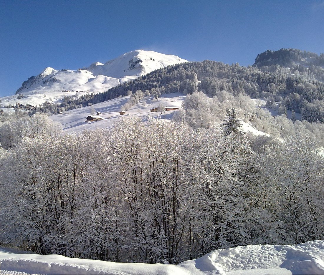 Land in Le Grand-Bornand, Auvergne-Rhône-Alpes, France 4 - 15377388