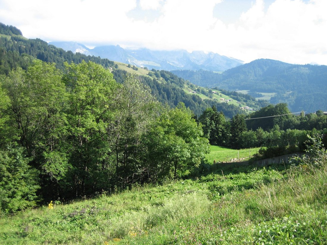 Land in Le Grand-Bornand, Auvergne-Rhône-Alpes, France 3 - 15377388