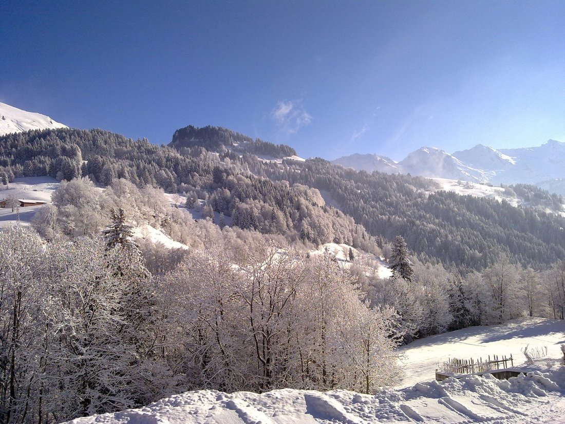 Land in Le Grand-Bornand, Auvergne-Rhône-Alpes, France 5 - 15377388