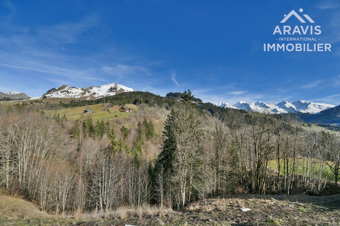 Land in Le Grand-Bornand, Auvergne-Rhône-Alpes, France 1 - 15377388