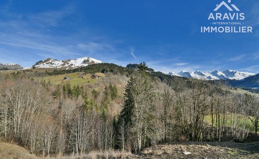Land in Le Grand-Bornand, Auvergne-Rhône-Alpes, France 1