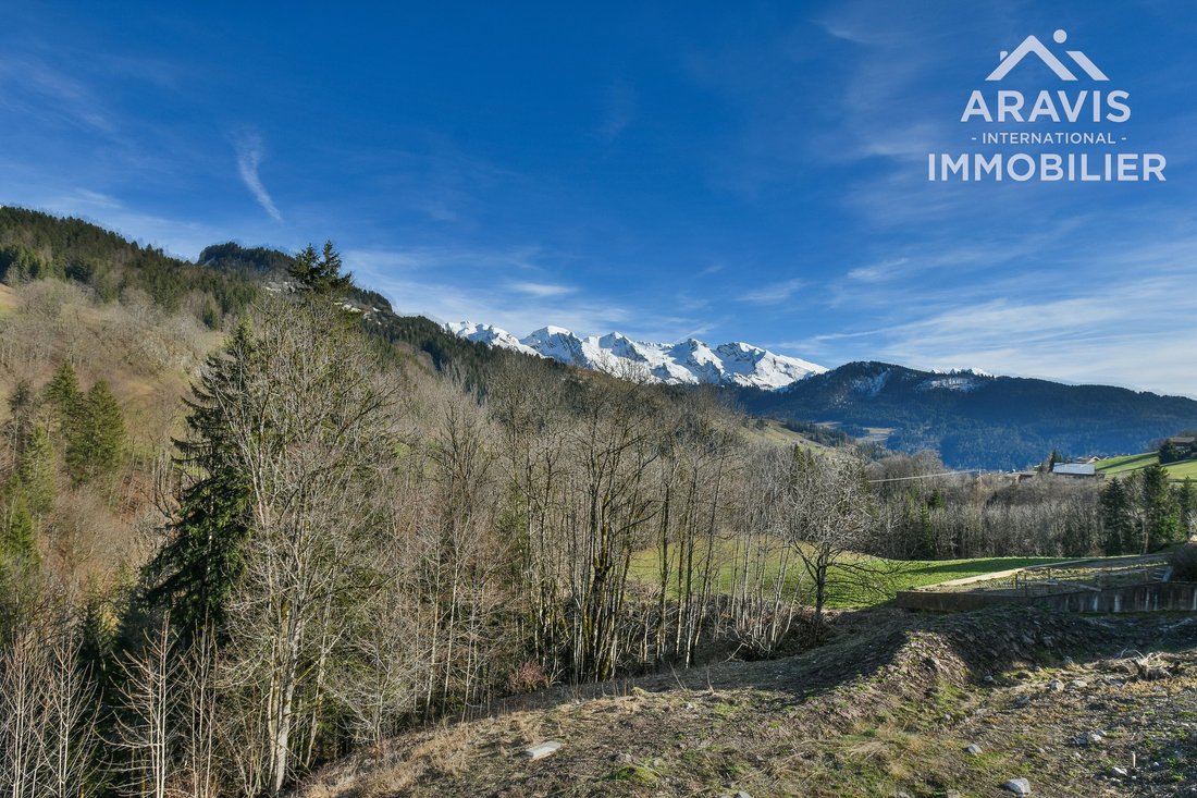 Land in Le Grand-Bornand, Auvergne-Rhône-Alpes, France 2 - 15377388