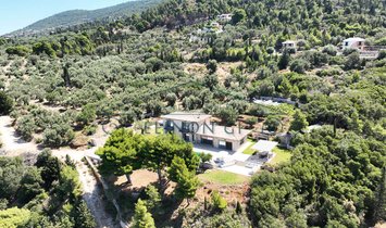 Villa in Athani, Greece 2