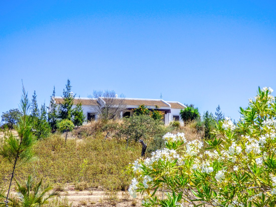 Finca in San Silvestre de Guzman, Andalusia, Spain 2 - 15378760
