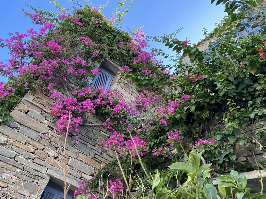 House in Kea, Aegean, Greece 5 - 15385766