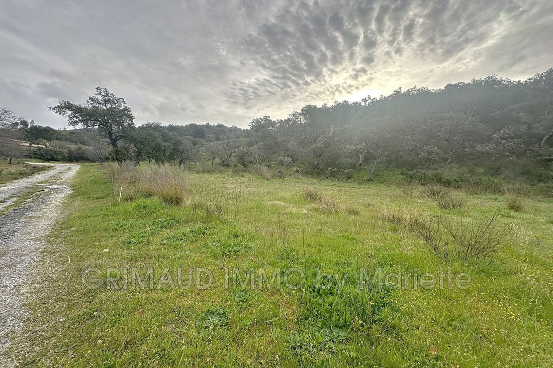 Land in Grimaud, Provence-Alpes-Côte d'Azur, France 3 - 15373244